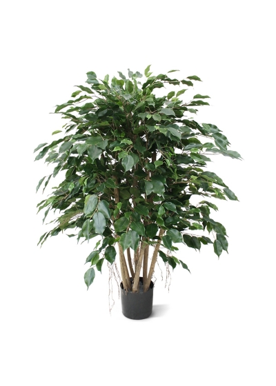 Ficus Exotica XL Artificiale 110cm