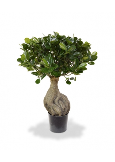 Ficus Panda Bonsai Albero Artificiale 55cm