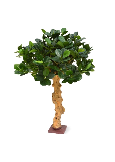 Ficus panda Bonsai Albero Artificiale su base 60cm