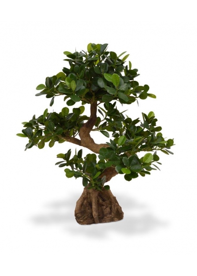 Ficus Panda Bonsai Artificiale su base 70cm