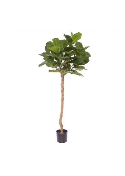 Ficus Royal Lyrata Albero Artificiale su tronco 120cm