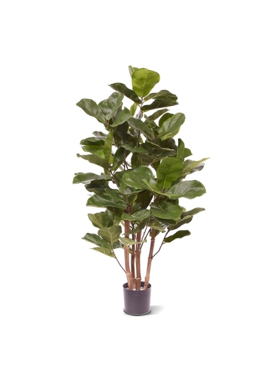 Ficus Royal Lyrata Pianta Artificiale 105cm