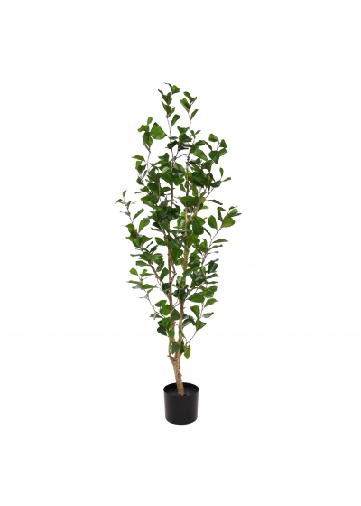 Ficus Triangularis Pianta Artificiale 120cm
