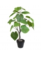 Ficus Umbellata Pianta Artificiale 60cm