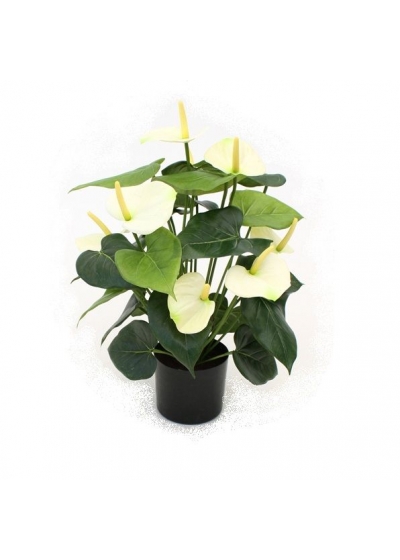 Anthurium Artificiale Deluxe 50cm - Crema