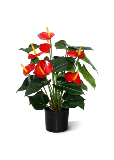 Anthurium Artificiale Deluxe 50cm - Rosso