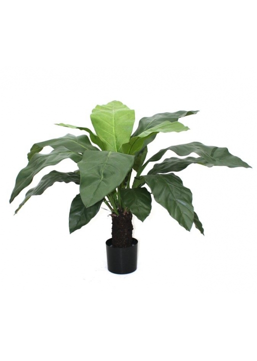 Anthurium Jungle King Artificiale 100cm