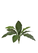 Anthurium Jungle King Pianta Artificiale 60cm