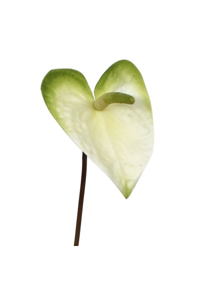 Anthurium Pianta Artificiale M 55cm Bianco-Verde