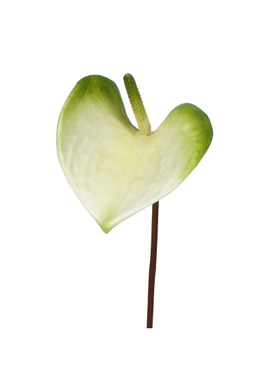Anthurium Pianta Artificiale S 50cm Bianco-Verde