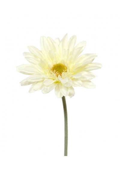 Gerbera fiore Artificiale a stelo 60cm Crema