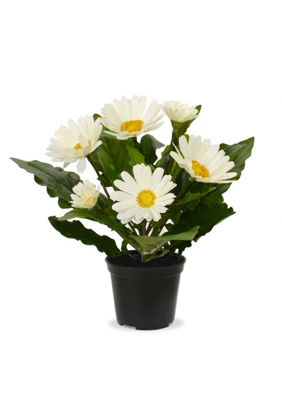 Gerbera Pianta Artificiale in vaso 30cm - Crema