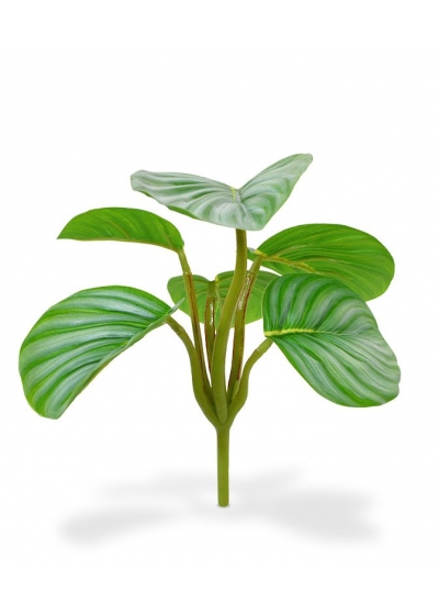 Mini Orbifolia Pianta Artificiale 20cm