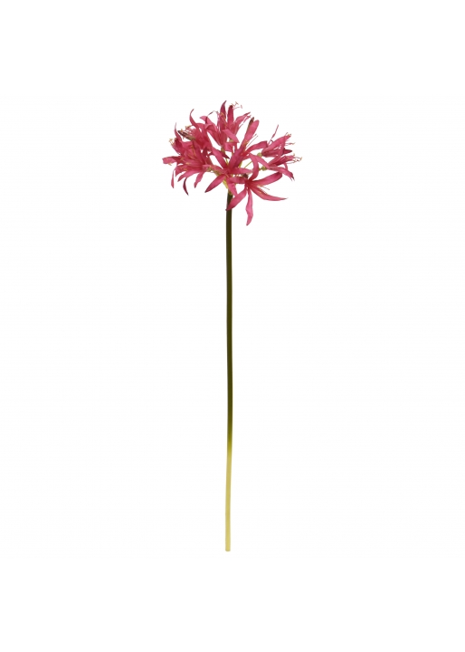Nerine Lilium fiore Artificiale 70cm cerise