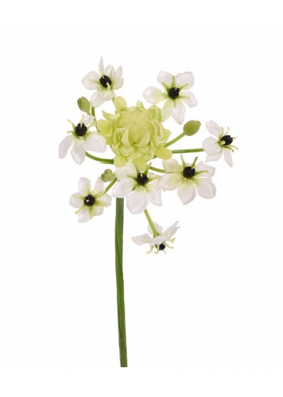 Ornithogalum Arabicum fiore Artificiale 72 cm Bianco