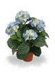Ortensia Artificiale Deluxe 45cm - Blu