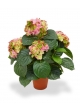 Ortensia Deluxe Pianta Artificiale 45cm - Rosa