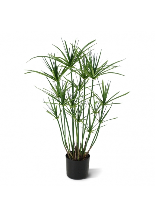 Papiro Artificiale 65cm