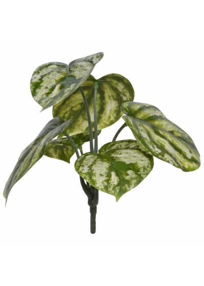 Peperomia Gold Dust Pianta Artificiale 20cm