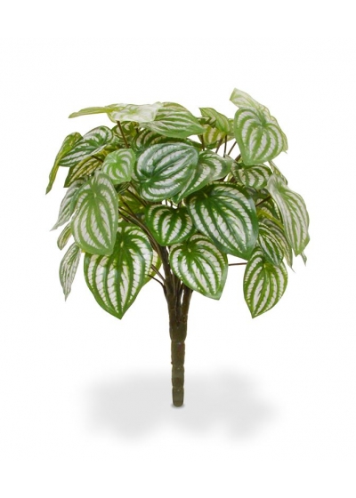 Peperomia Pianta Artificiale 30cm