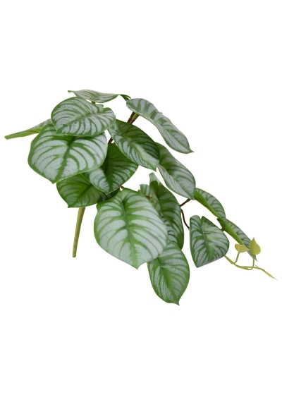 Peperomia Pianta Artificiale HRT 20cm