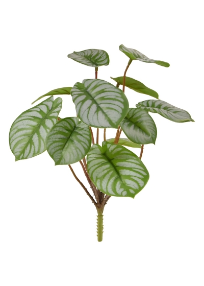 Peperomia Pianta Artificiale RT 25cm