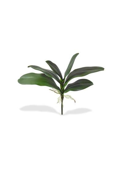 Phalaenopsis foglia Pianta Artificiale 25cm