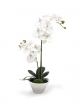 Phalaenopsis Orchidea Artificiale 50cm x2 in ciotola