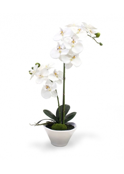Phalaenopsis Orchidea Artificiale 50cm x2 in ciotola