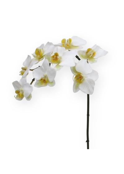 Phalaenopsis Orchidea Artificiale 80cm - Bianco
