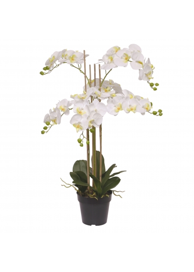 Phalaenopsis Orchidea Artificiale 95cm Bianco