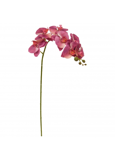 Phalaenopsis Orchidea Artificiale 95cm Viola Porpora