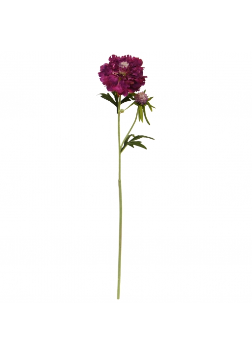 Scabiosa fiore Artificiale 57cm Burgundy