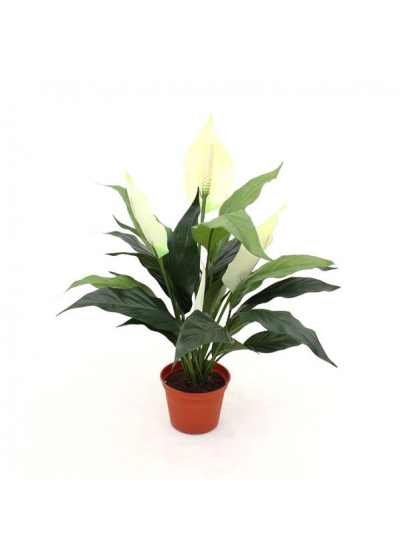 Spathiphyllum Artificiale 50cm