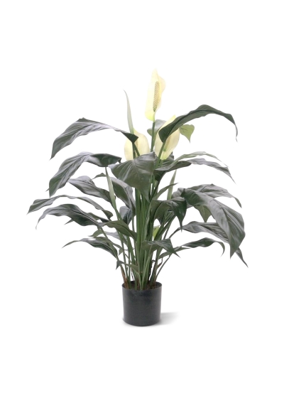 Spathiphyllum Artificiale Deluxe 80cm