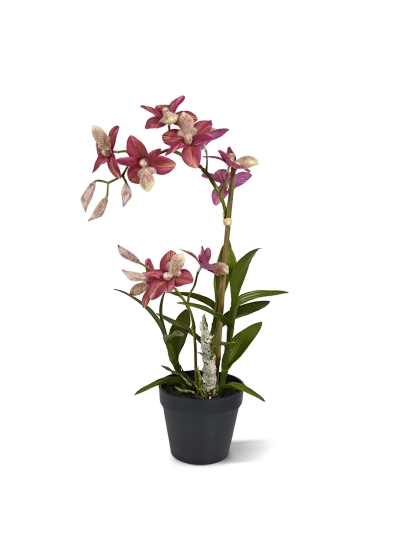 Spider Orchidea Artificiale 50cm - Bordeaux