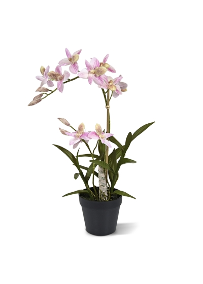 Spider Orchidea Artificiale 50cm - Rosa