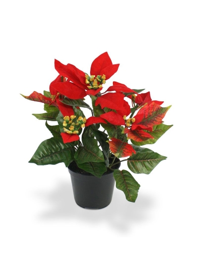 Stella di Natale Artificiale 25cm in vaso - Rosso