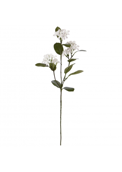 Stephanotis fiore Artificiale 70cm Bianco