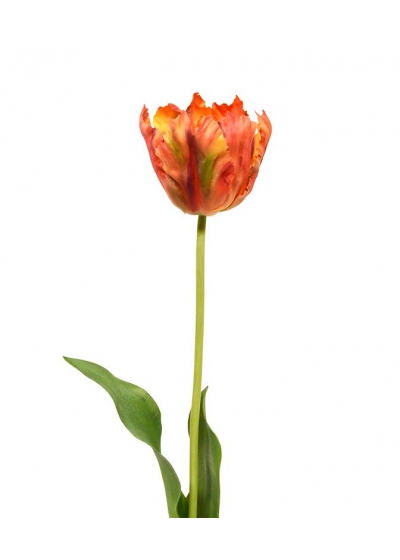 Tulipano Van Gogh fiore Artificiale 70 cm Arancione