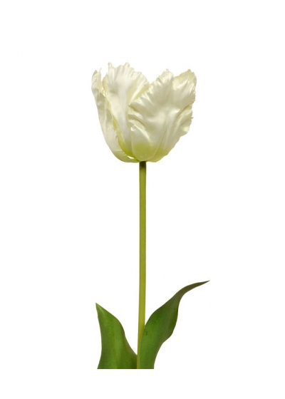 Tulipano Van Gogh fiore Artificiale 70 cm Crema