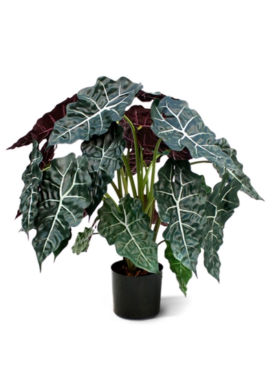 Alocasia Artificiale 75cm