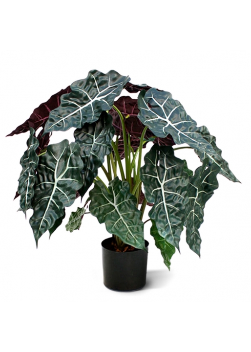 Alocasia Artificiale 75cm