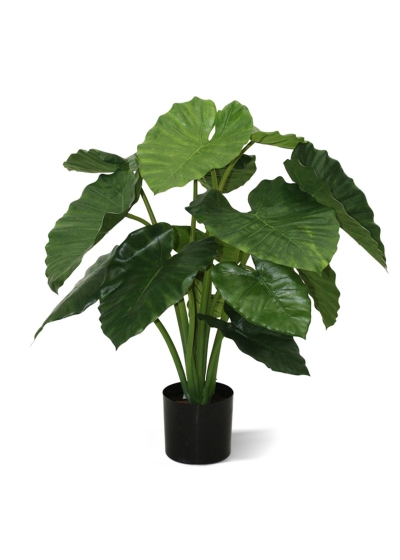 Alocasia Calidora Artificiale 80cm