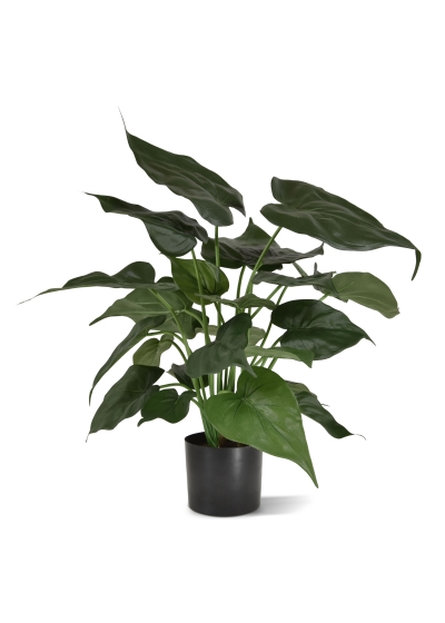Alocasia Cucullata Pianta Artificiale 50cm