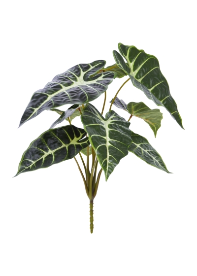 Alocasia Pianta Artificiale promo 40cm Verde