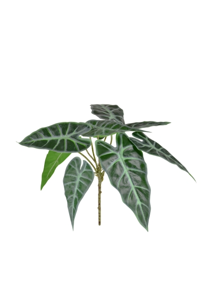 Alocasia Polly Pianta Artificiale 30cm
