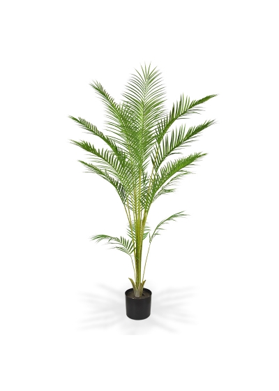 Areca Palma Artificiale Pl 165cm