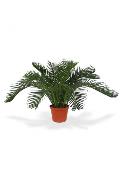 Cycas Baby Palma Artificiale 45cm - N