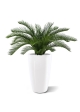 Cycas Palma Artificiale Deluxe 60cm